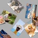 Xiaomi Portable Photo Printer Paper image 3