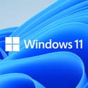 MICROSOFT WIN 11 PRO 64BIT DSP image 2