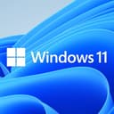 Microsoft Windows 11 Home DSP image 2